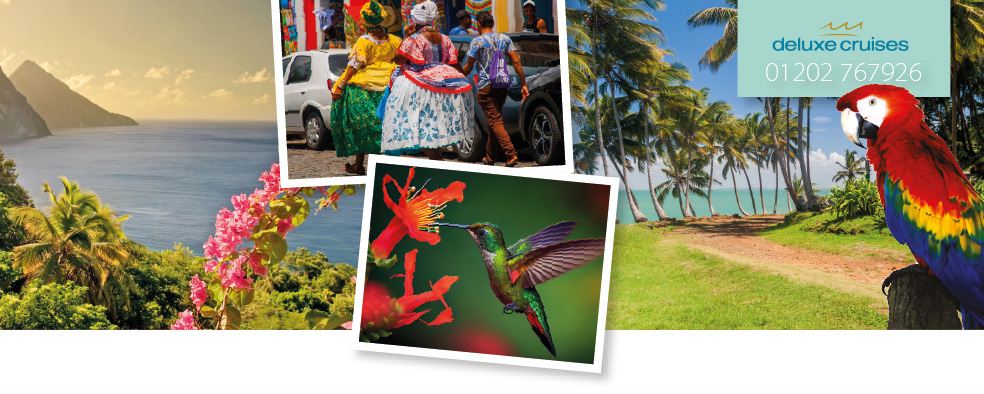 The Colours of Carnival - Buenos Aires to Miami