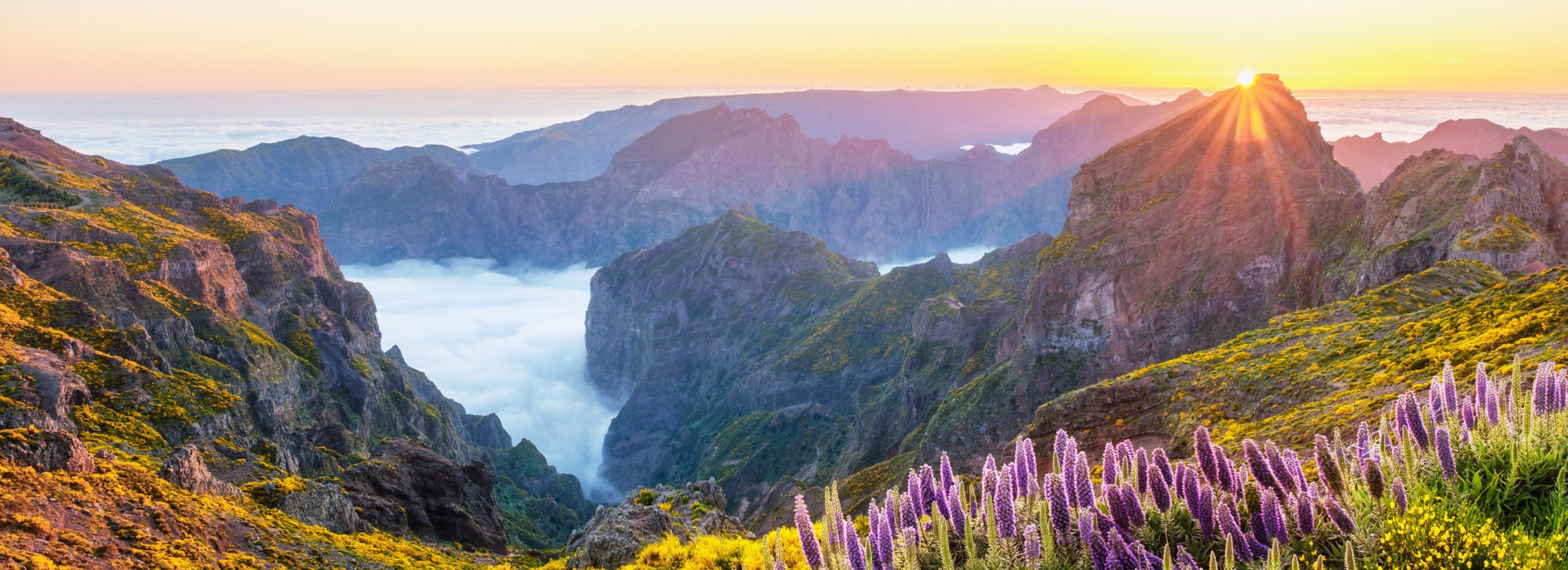 2028-2029 Voyage Collection from Regent Seven Seas Cruises