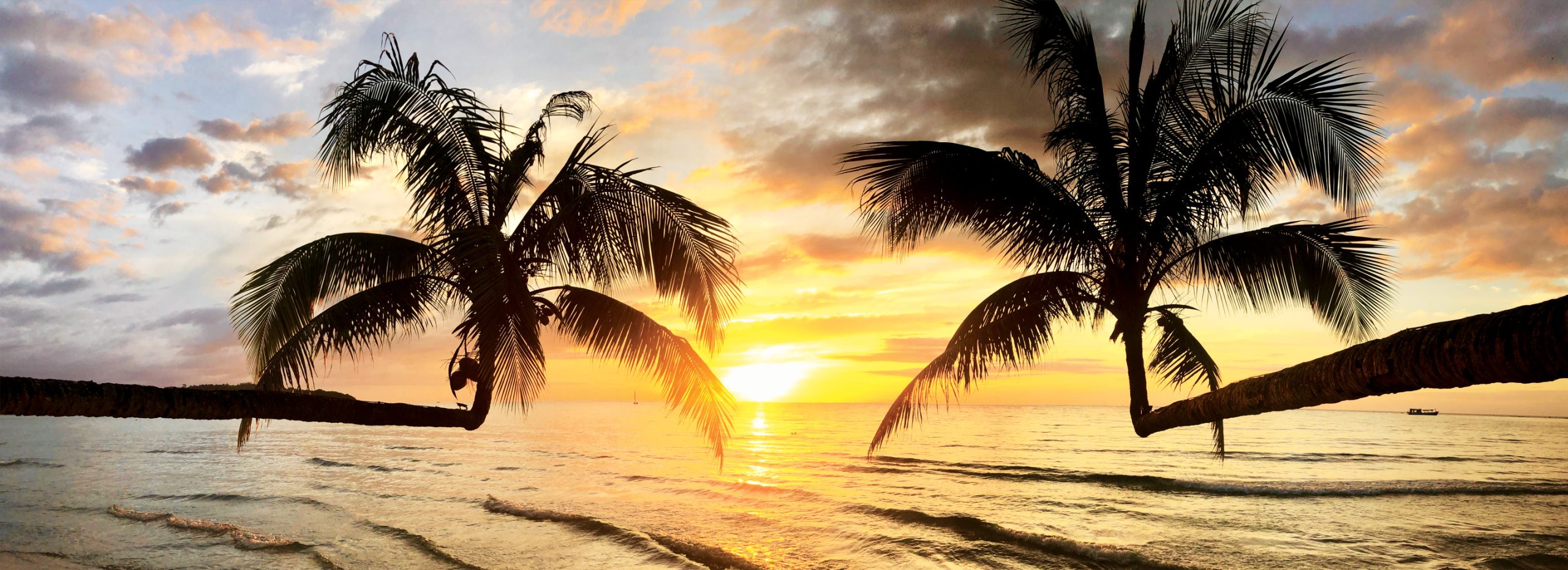 Secure the last-remaining luxury suites and save up to 30% on upcoming worldwide voyages.