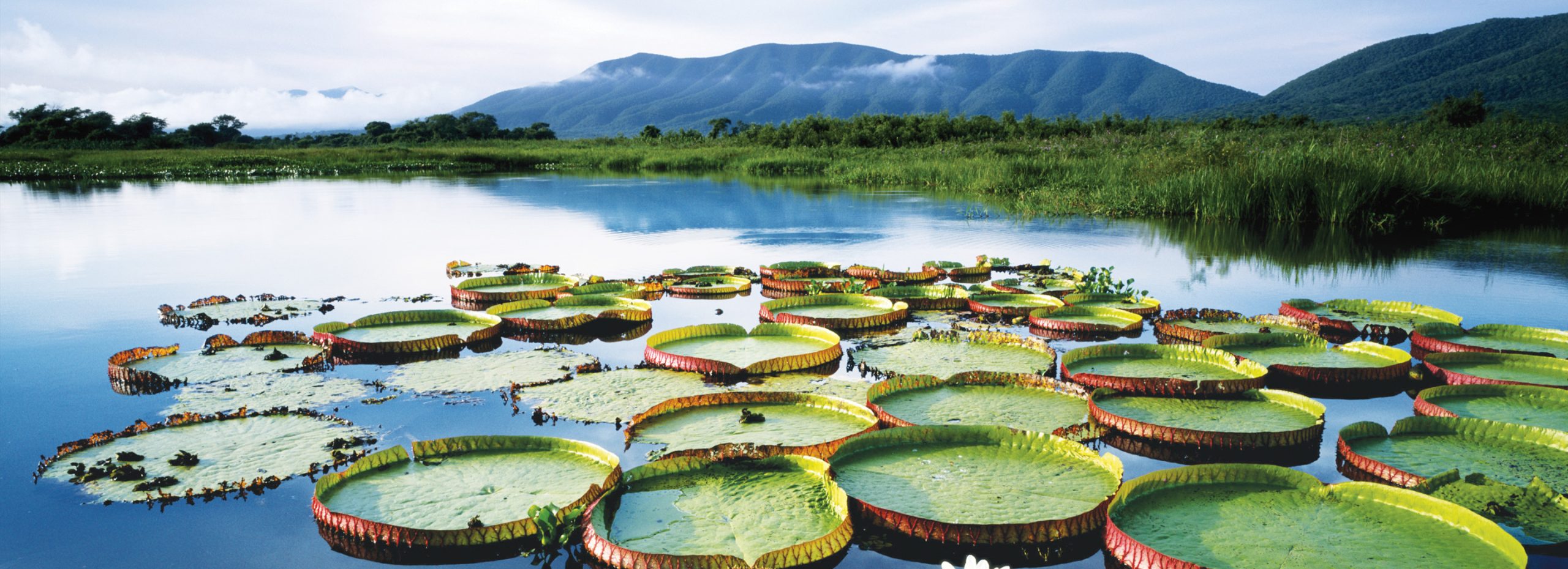 Seabourn’s 2029 World Cruise & Amazon Voyages
